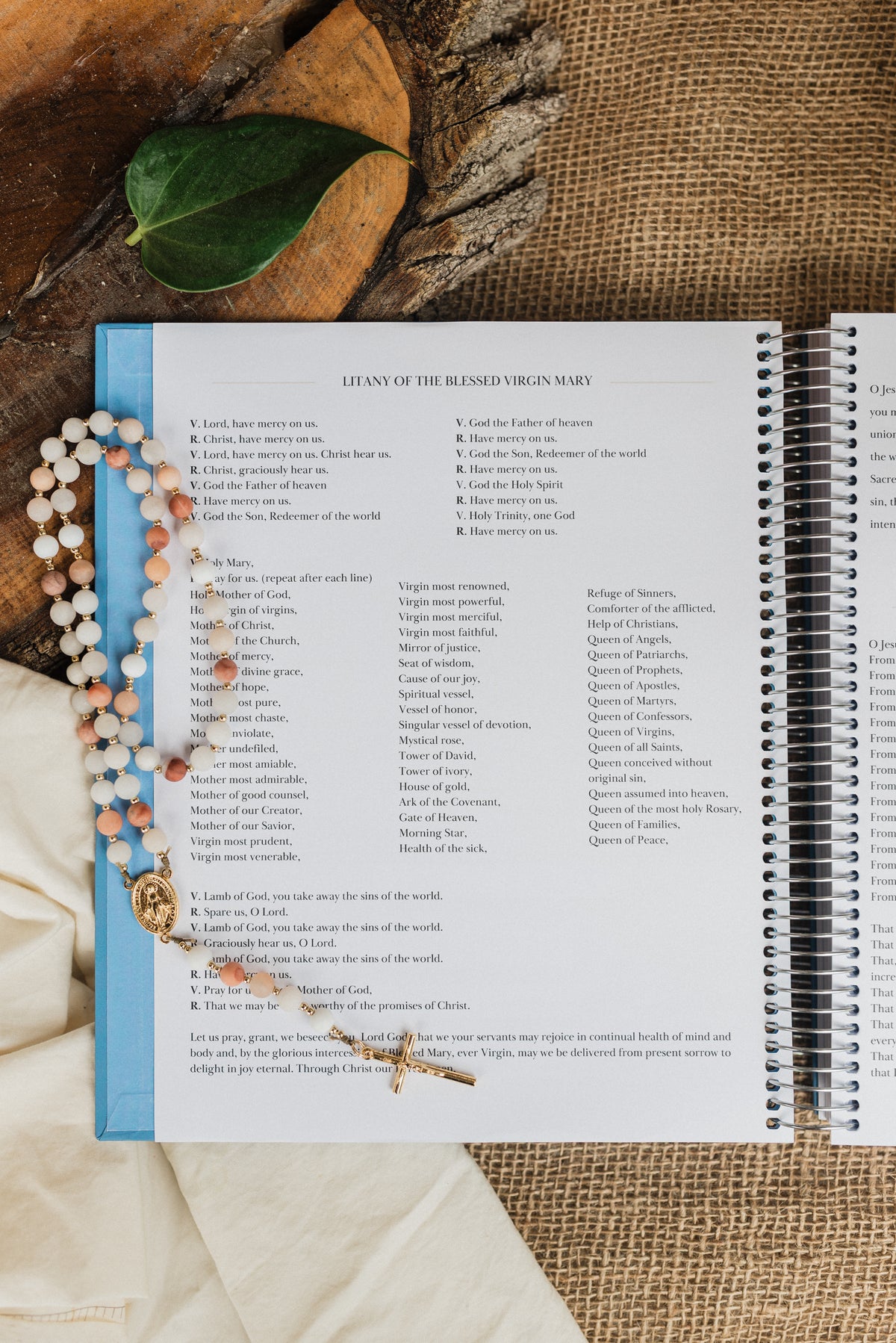 PRE-SALE 2027 Traditional Catholic Planner