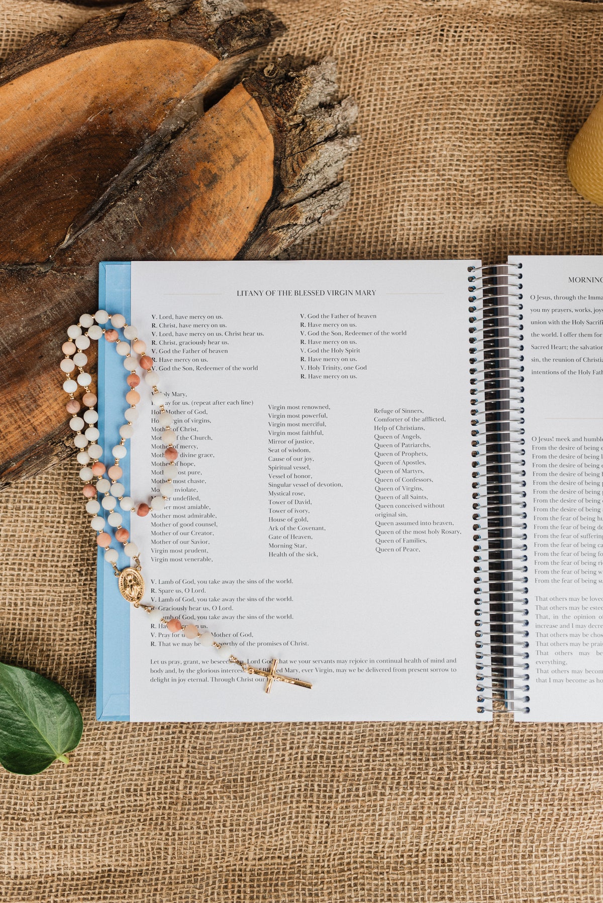 PRE-SALE 2027 Traditional Catholic Planner