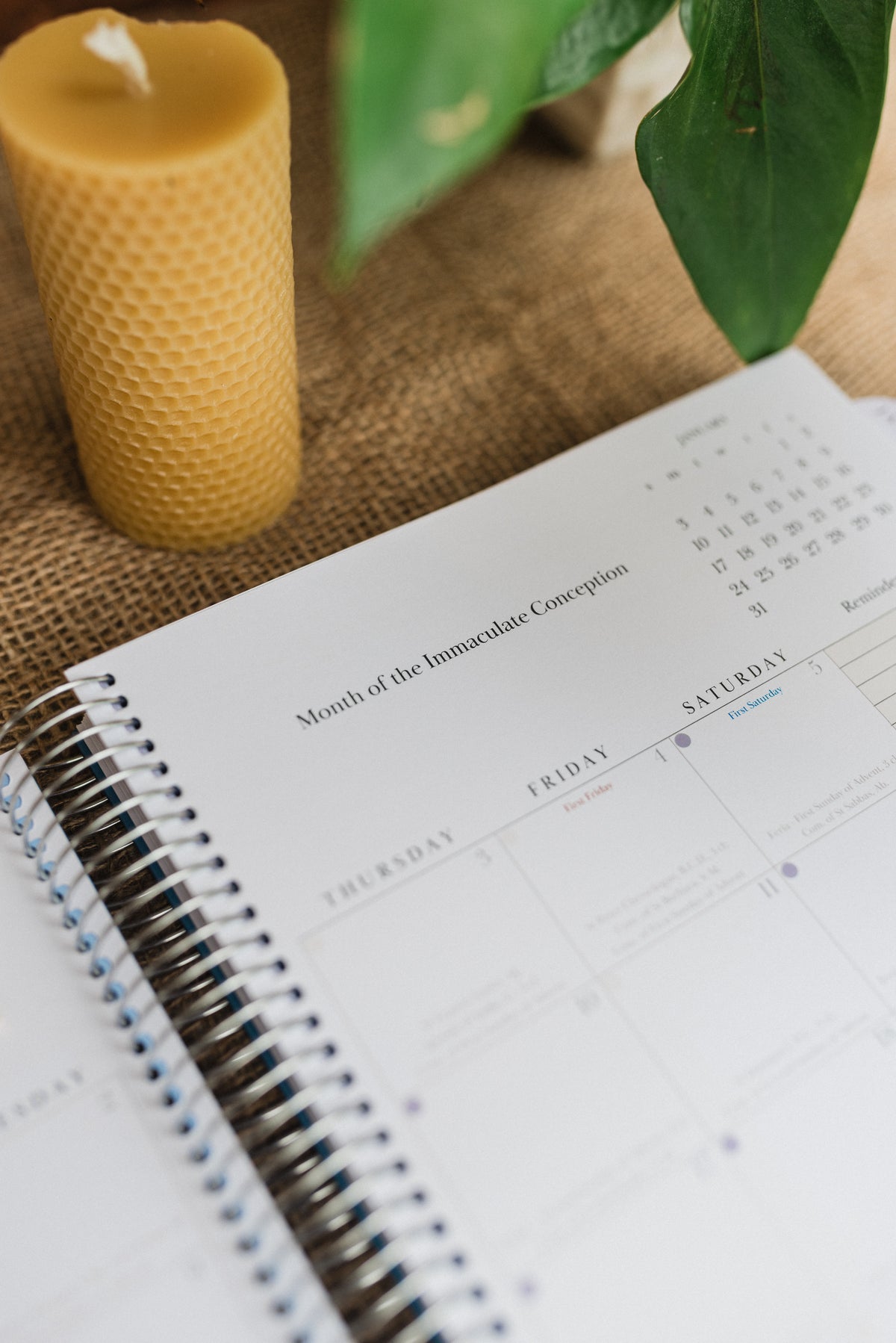 PRE-SALE 2027 Traditional Catholic Planner