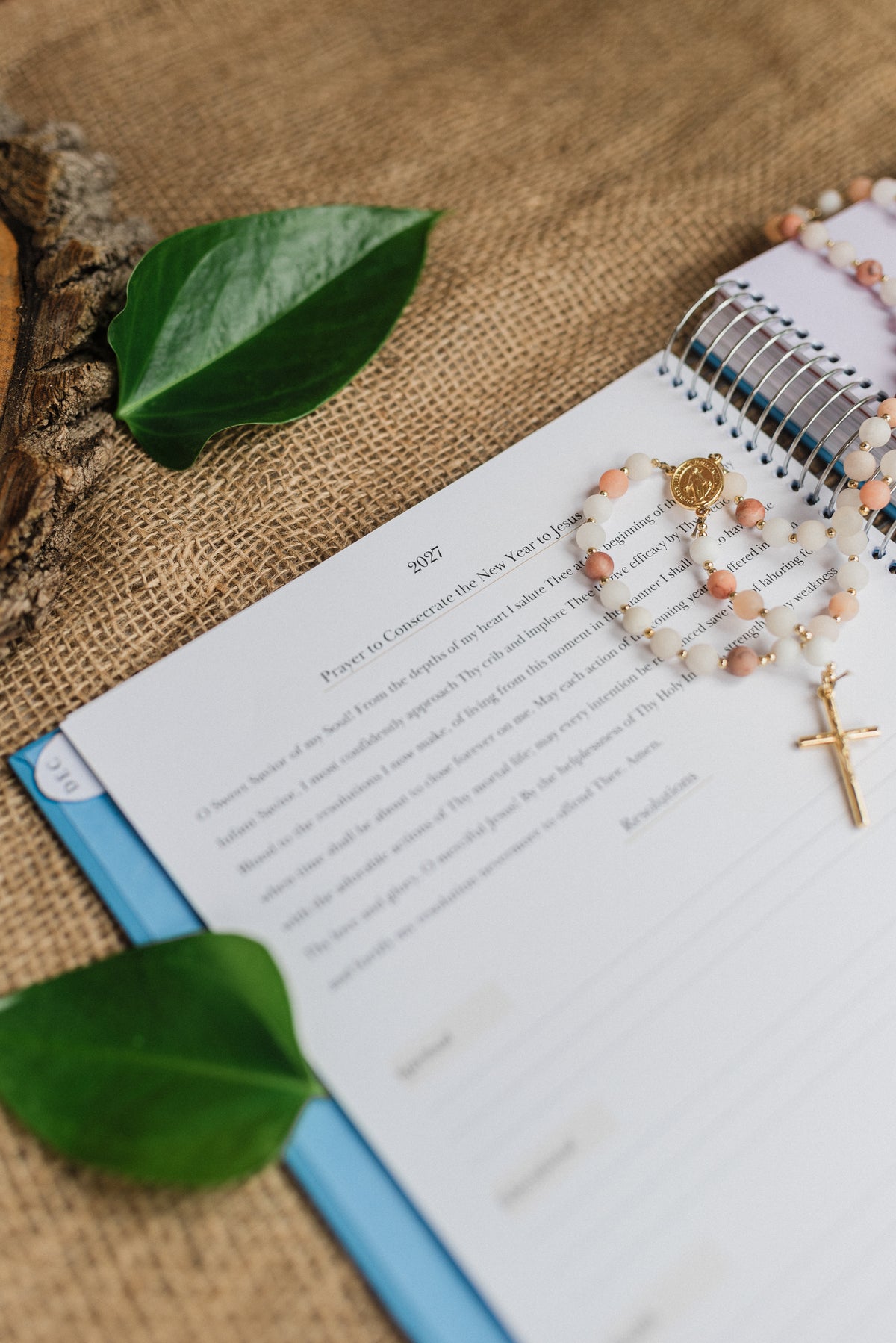 PRE-SALE 2027 Traditional Catholic Planner